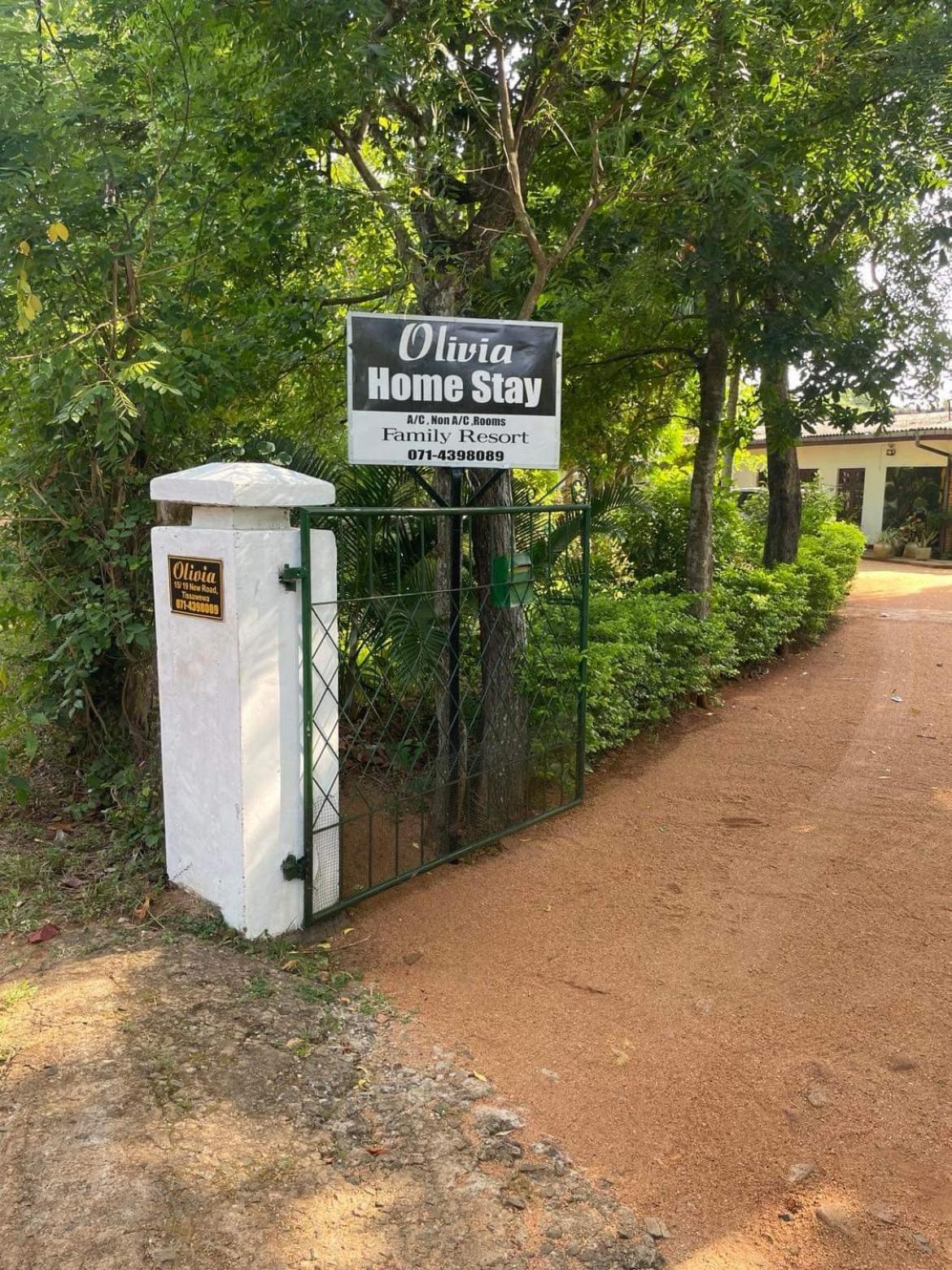 Olivia Homestay Анурадхапура Экстерьер фото
