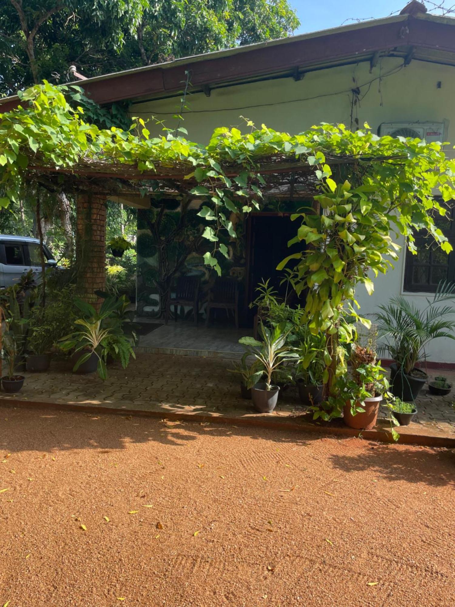 Olivia Homestay Анурадхапура Экстерьер фото