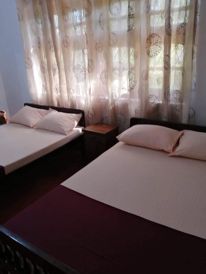 Olivia Homestay Анурадхапура Экстерьер фото
